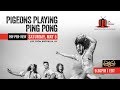 Pigeons Playing Ping Pong | Brooklyn Bowl | 5/5/18 | Relix