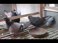 الحمام الرومي أو التلتينات والقطاوى أو الفلاحي التقيل والبلدي التقيل أو الارضى Heavy Egyption pigeon