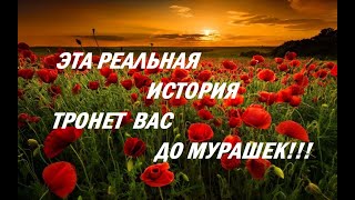 Невероятная История, 