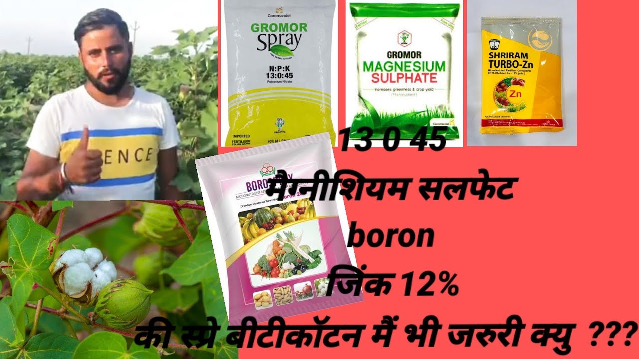 Benefits of use of foliar spray 13045/Magnesium/Zinc/Boron in cotton