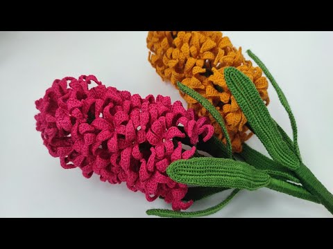 Crochet Hyacinth Crosetam Zambila 