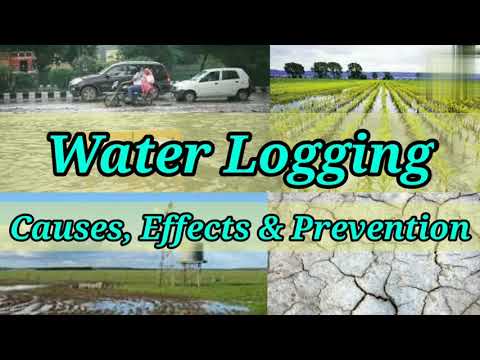 Water Logging | Causes | Effects | How to Prevent water logging| Irrigation Engineering| Shiwani Jha