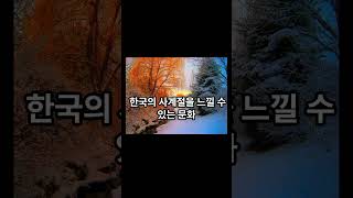 외국인들이 한국 문화를 보고 충격받는 이유 #short #한국문화 #한국여행