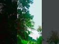Purulia Sad Song New#new #viralshorts #puruliasong