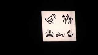 Picture Visual Acuity