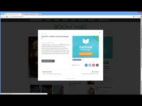Wordpress Quick Read Plugin - Post and Category Specific Advertising (4)