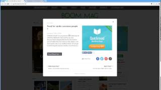 Wordpress Quick Read Plugin - Post And Category Specific Advertising 4