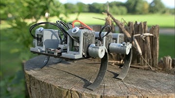 Hexapedal robot climb obstacles - hexapod robot