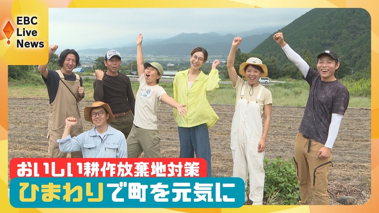 Sunflower oil doughnuts to combat abandoned farmland - YouTube