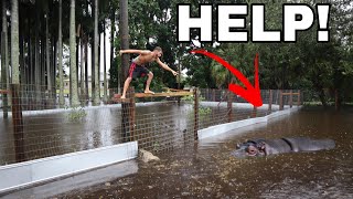 RESCUING ANIMALS IN HORRIFIC FLOOD! *What Can We Do*