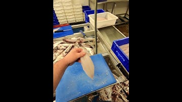 haddock fillet in East neuk o fife with meta Ray ban