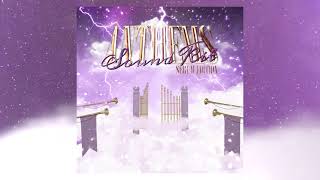 Serum Preset Bank 'Anthems Vol. 1' Trippie Redd Inspired Serum Presets | Rage, Playboi Carti