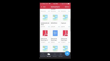 MyWorkDrive PDF Expert Edit with WebDAV