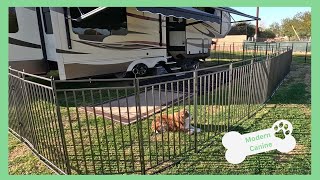 Recensione della recinzione portatile per cani di Petorldog screenshot 5