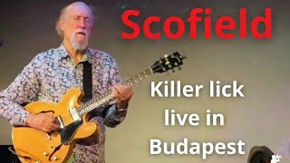 Scofield Outside Playing on Green Tea from Live in Budapest