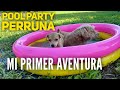 ADVERTENCIA⚠!! Este video puede causar extrema FELICIDAD! Lucy😍! Su primer aventura con la manada🐶🐶🐶