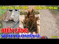 Chuyện gì sắp xảy ra XUẤT HIỆN HÀNG NGÀN CON CHÂU CHẤU TRE &amp; ĐỘNG ĐẤT Ở YÊN BÁI - PHÚ MỸ HƯNG