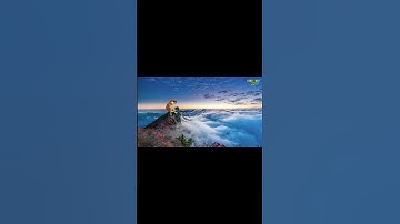 Nhạc chế Ding Ding memes: Ở nơi ấy tôi đã thấy...