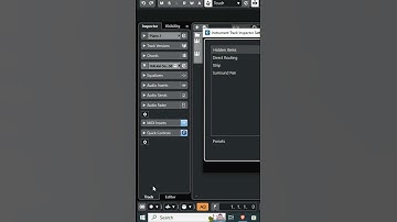 Track Inspector Settings Dialog | Cubase pro tips in hindi