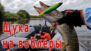 видео: Лето, жара, щука: как уговорить хищницу в июле картинка: Лето, жара, щука: как уговорить хищницу в июле