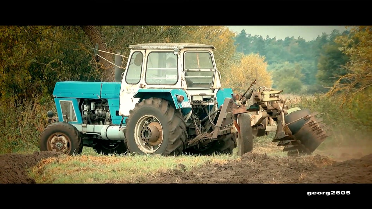 Fortschritt ZT 303 / B 201 Pflügen bei Vorpommern-Greifswald