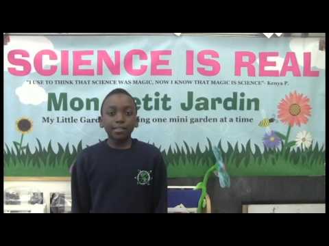 Brooklyn Science and Engineering Academy on Climate Change