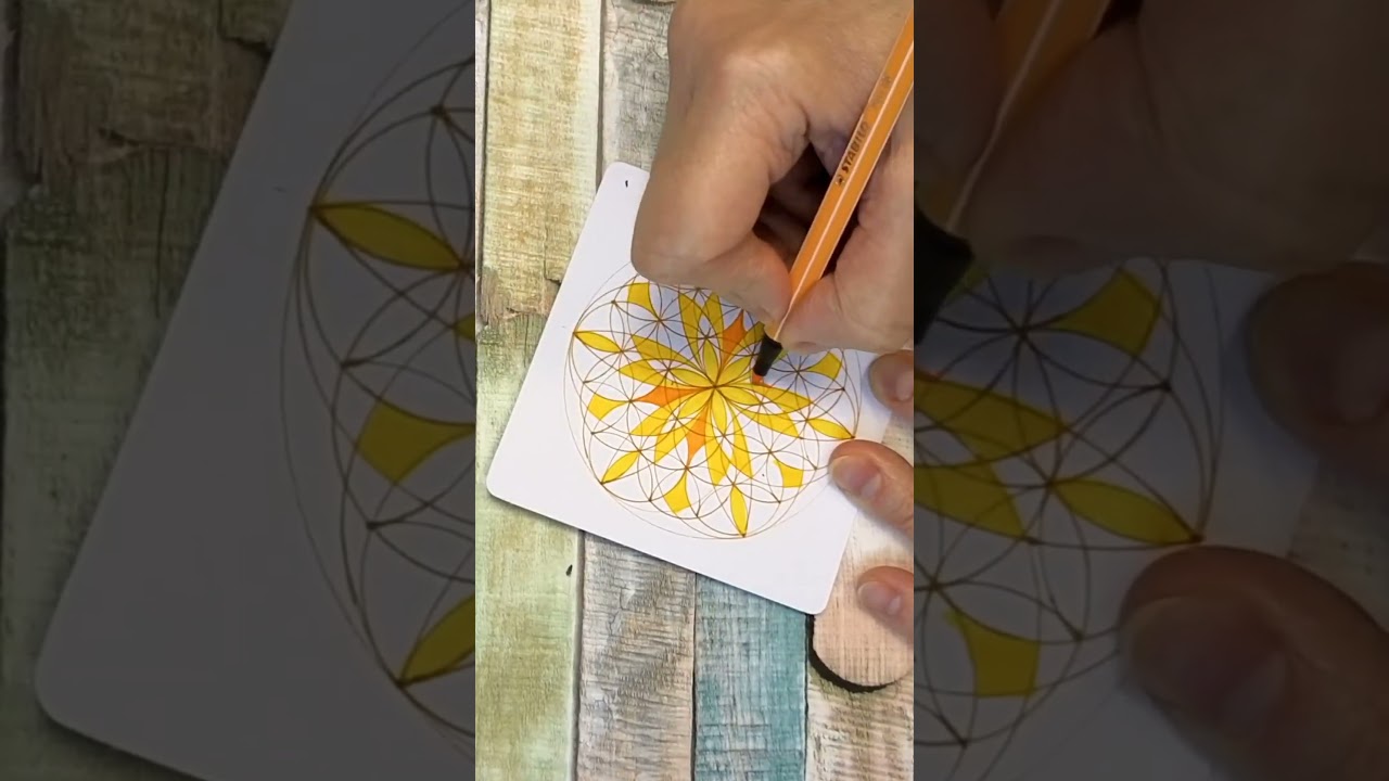Hand Drawn Geometry That Feels Alive 