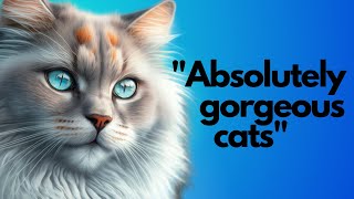 Top 10 Most Beautiful Cat Breeds