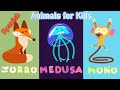 Nombres de Animales en Español – Animales divertidos para niños