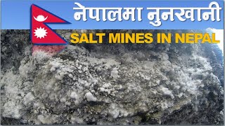 Salt Mine in Nepal| नेपालमा नुन खानी |Upper Mustang |Mine and Minerals |NEPAL UPDATE|