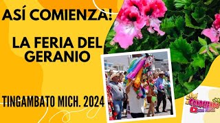 Cómo da comienzo la Feria del Geranio en Tingambato Mich. 2024?