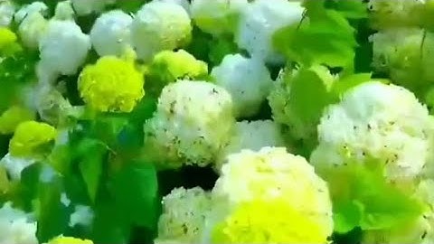 54 - سورة القدر | القارئ محمد الفقيه حفظه الله | اللهم ٱجعل القرآن العظيم ربيع قلوبنا ونور صدورنا