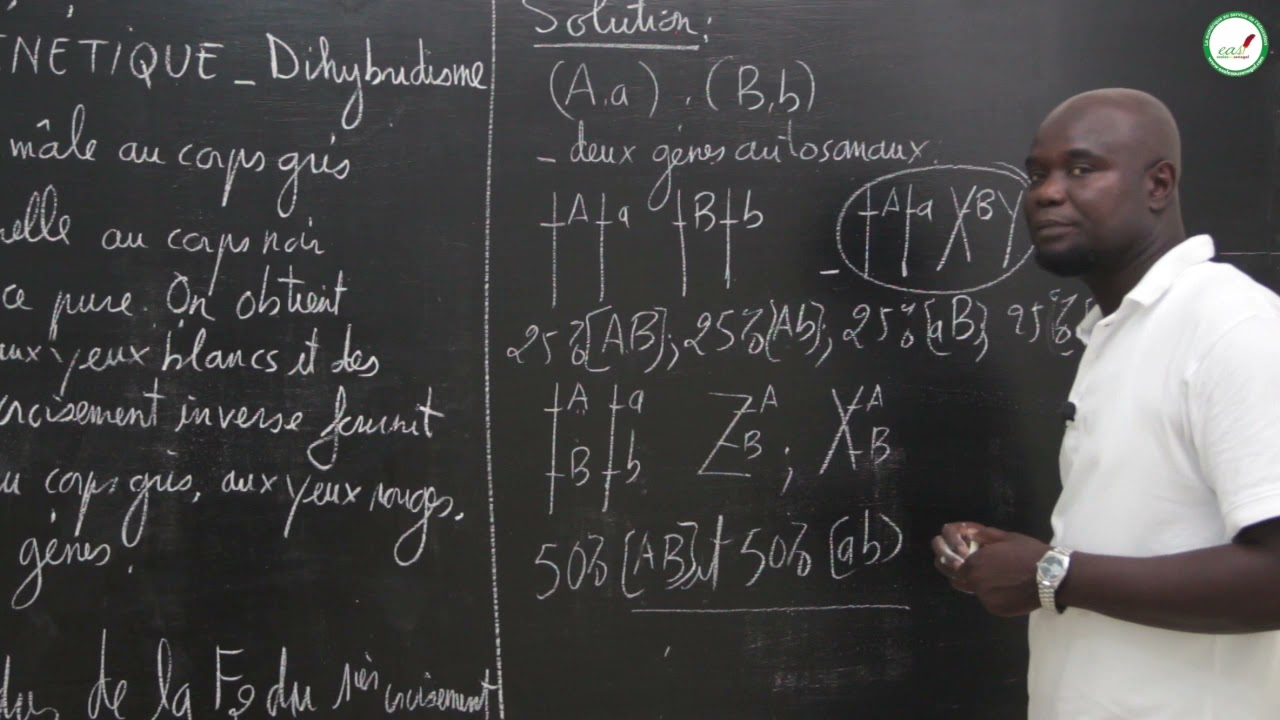 Exercices - Terminale S - SVT : Génétique - dihybridisme  / M. Gnasse