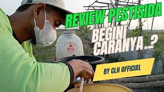 Efektivitas Tinggi Dan Ramah Lingkungan Review Insektisida Gorex 500Ec Dari Pt Exel Meg Indo