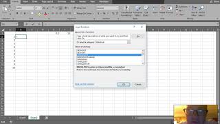 Finding the Binomial Probability with Excel Net Worth