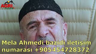 Mela Ahmedi bazidi iletişim numarası +905454728372