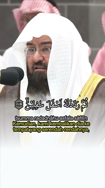 Surah At-Tin | Demi (buah) tin dan (buah) zaitun | Syekh Assudais #quran #murotal #quotes #dosa