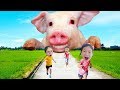 Kinderlieder und lernen Farben lernen Farben Baby spielen Spielzeug Entertainment Kinderreime #01