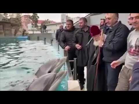 ილია მეორემ დელფინები მოინახულა