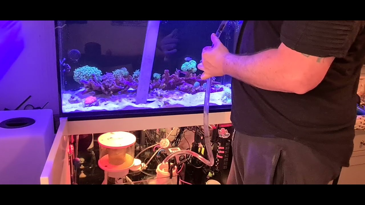 Reef Tank Sand Bed Maintenance Reference: Reef Tank Maintenance On Sand Bed
