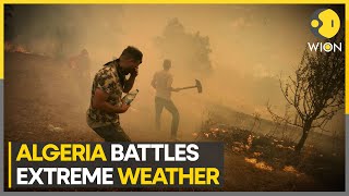 Wildfires sweep northern Algeria | WION Climate Tracker screenshot 2