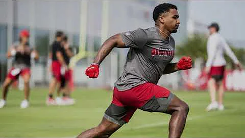 Raymond Calais #43 - Running Back / Returner - Tam...
