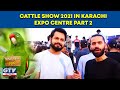 Cattle show 2021 in karachi expo centre I part 2 I Wild Pets with Aun I GTV News HD | 04 April 2021