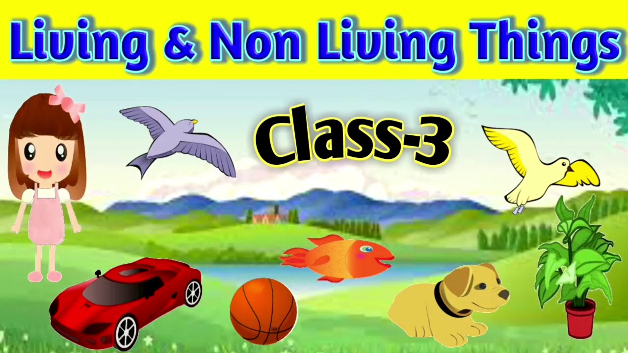 Living and Non Living Things || Class-3 || Science || CBSE - YouTube