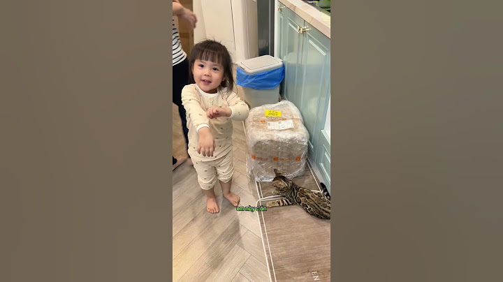 Quậy nhà mới PaPa Tái Chế | LoLifamily #lolifamily
