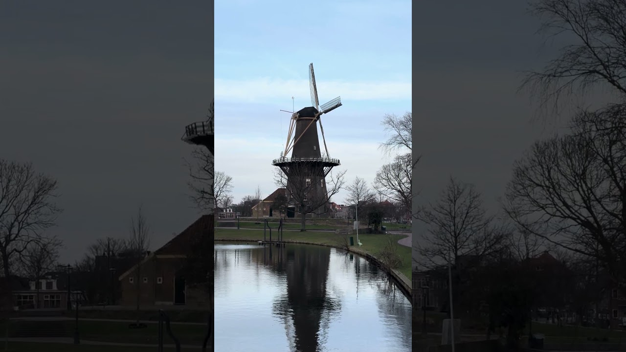 Сердце и история Лейдена