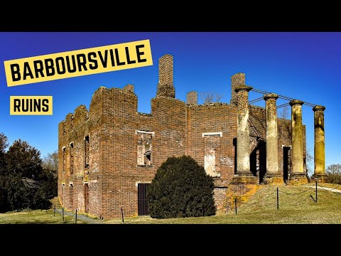 Video: Barboursville şərabçılıq iti dostudur?