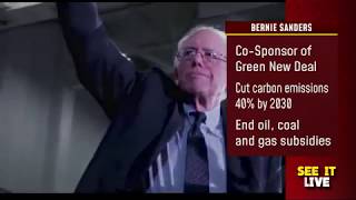 2020 presidential candidates' stances on climate change