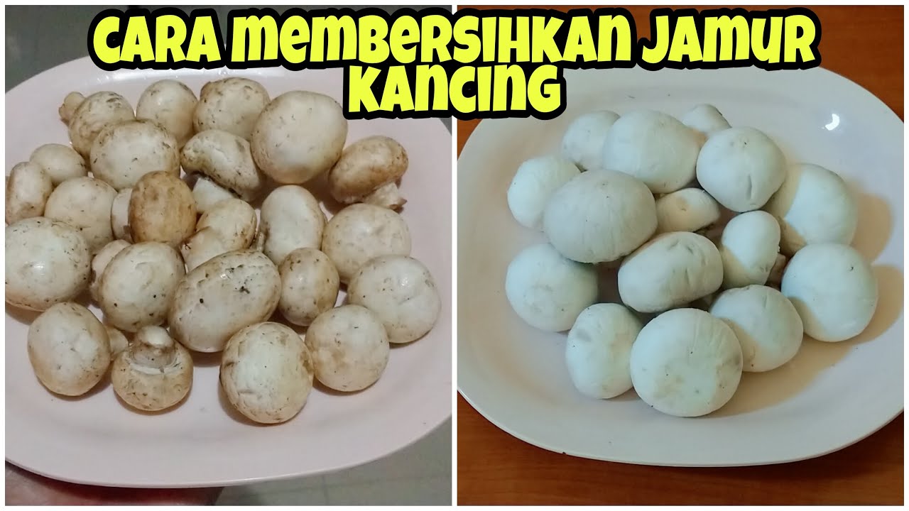  cara membersihkan jamur kancing YouTube