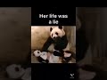 Her life was a lie panda shorts subscribe meme troll viral baby babypanda human lie run